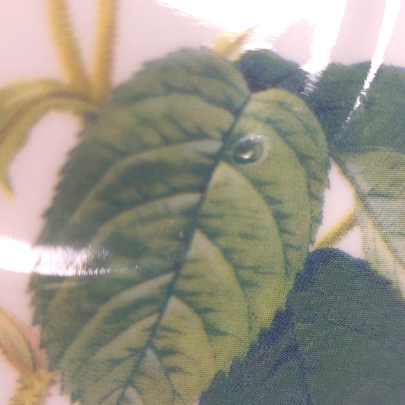 Roy Kirkham Rose Saucer Plates. Set of 2 - Picture 6 of 6